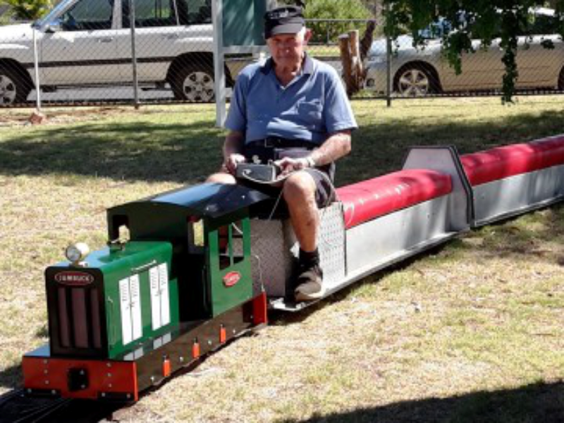 Mini Train